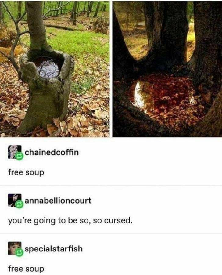 chainedcoffin
free soup
annabellioncourt
you're going to be so, so cursed.
specialstarfish
free soup