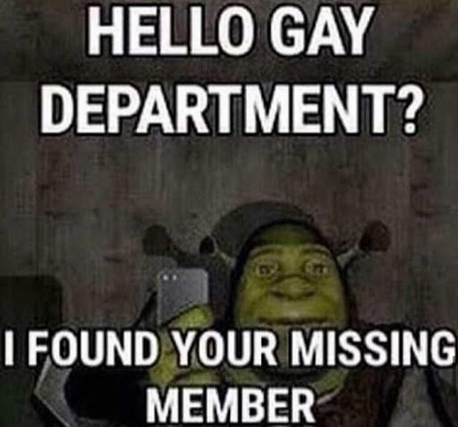 HELLO GAY
DEPARTMENT?
I FOUND YOUR MISSING
MEMBER