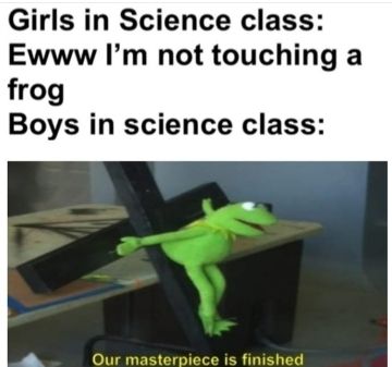 Girls in Science class:
Ewww I'm not touching
frog
Boys in science class:
Our masterpiece is finished