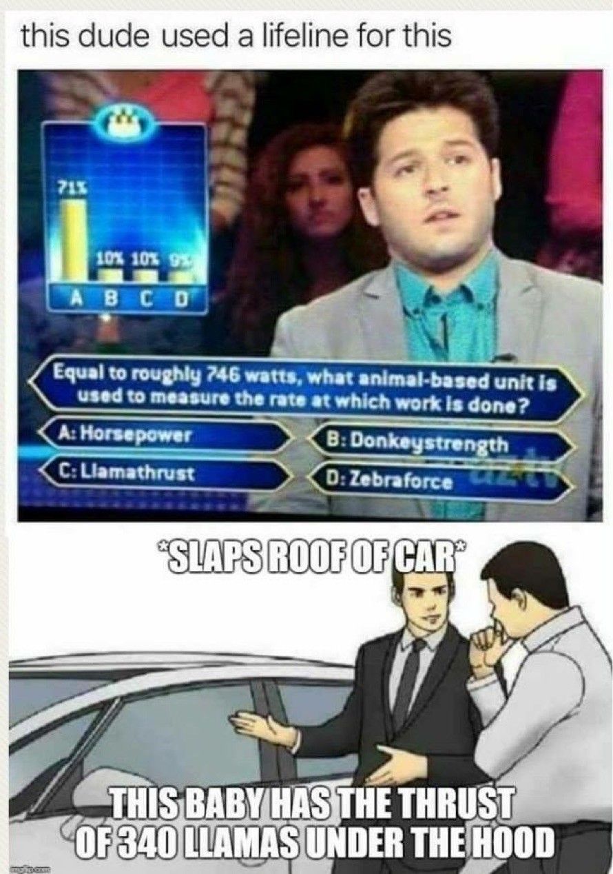 this dude used a lifeline for this
mundou
71%
10% 10% 9%
ABCD
Equal to roughly 746 watts, what animal-based unit is
used to measure the rate at which work is done?
A: Horsepower
C: Llamathrust
B: Donkeystrength
D: Zebraforce
*SLAPS ROOF OF CAR
THIS BABY HAS THE THRUST
OF 340 LLAMAS UNDER THE HOOD