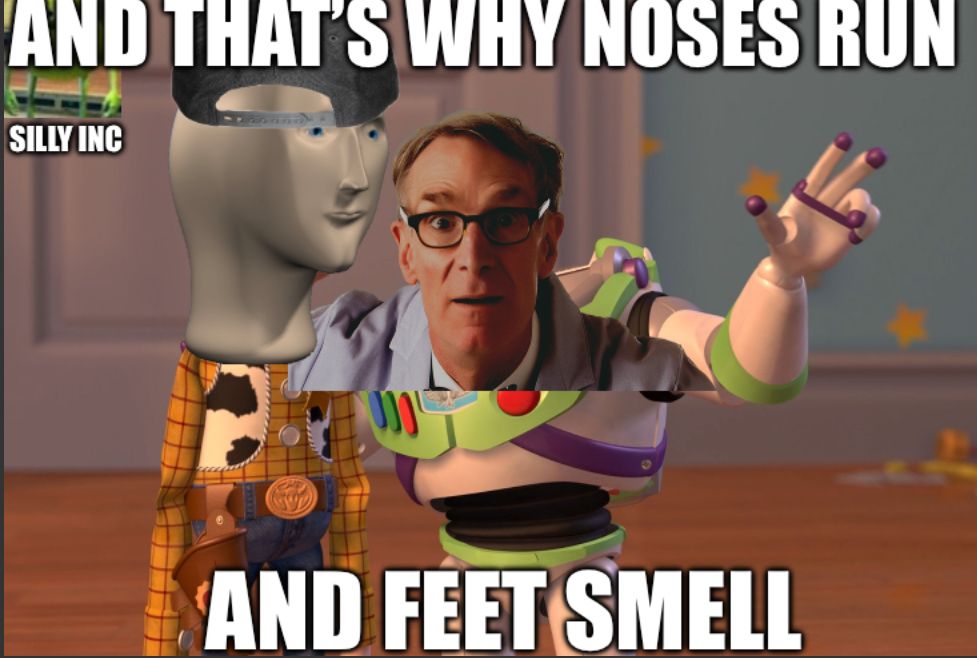 AND THAT'S WHY NOSES RUN
SILLY INC
RAP
AND FEET SMELL