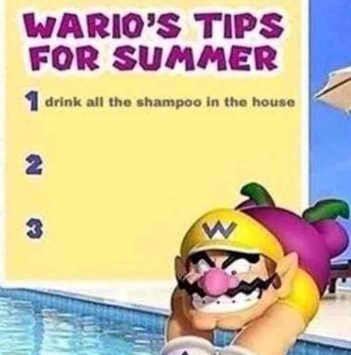 WARIO'S TIPS
FOR SUMMER
drink all the shampoo in the house
N
3
MORA
W