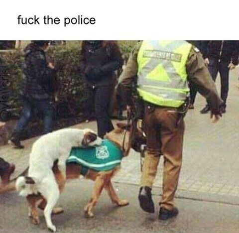 fuck the police