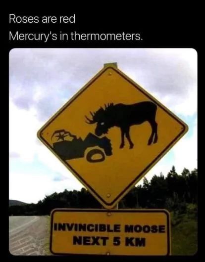 Roses are red
Mercury's in thermometers.
INVINCIBLE MOOSE
NEXT 5 KM