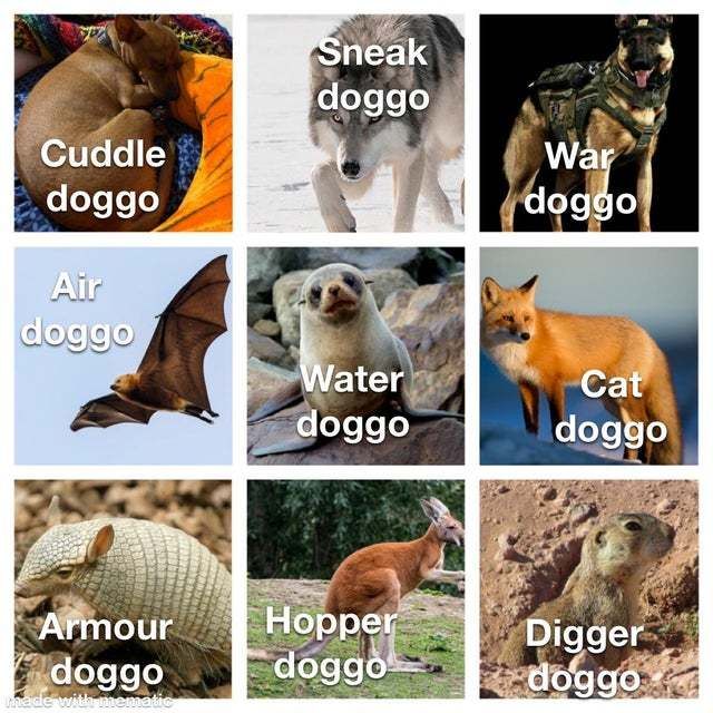 Cuddle
doggo
Air
doggo
Armour
doggo
made with mematic
Sneak
doggo
Water
doggo
Hopper
doggo
War
doggo
Cat
doggo
Digger
doggo