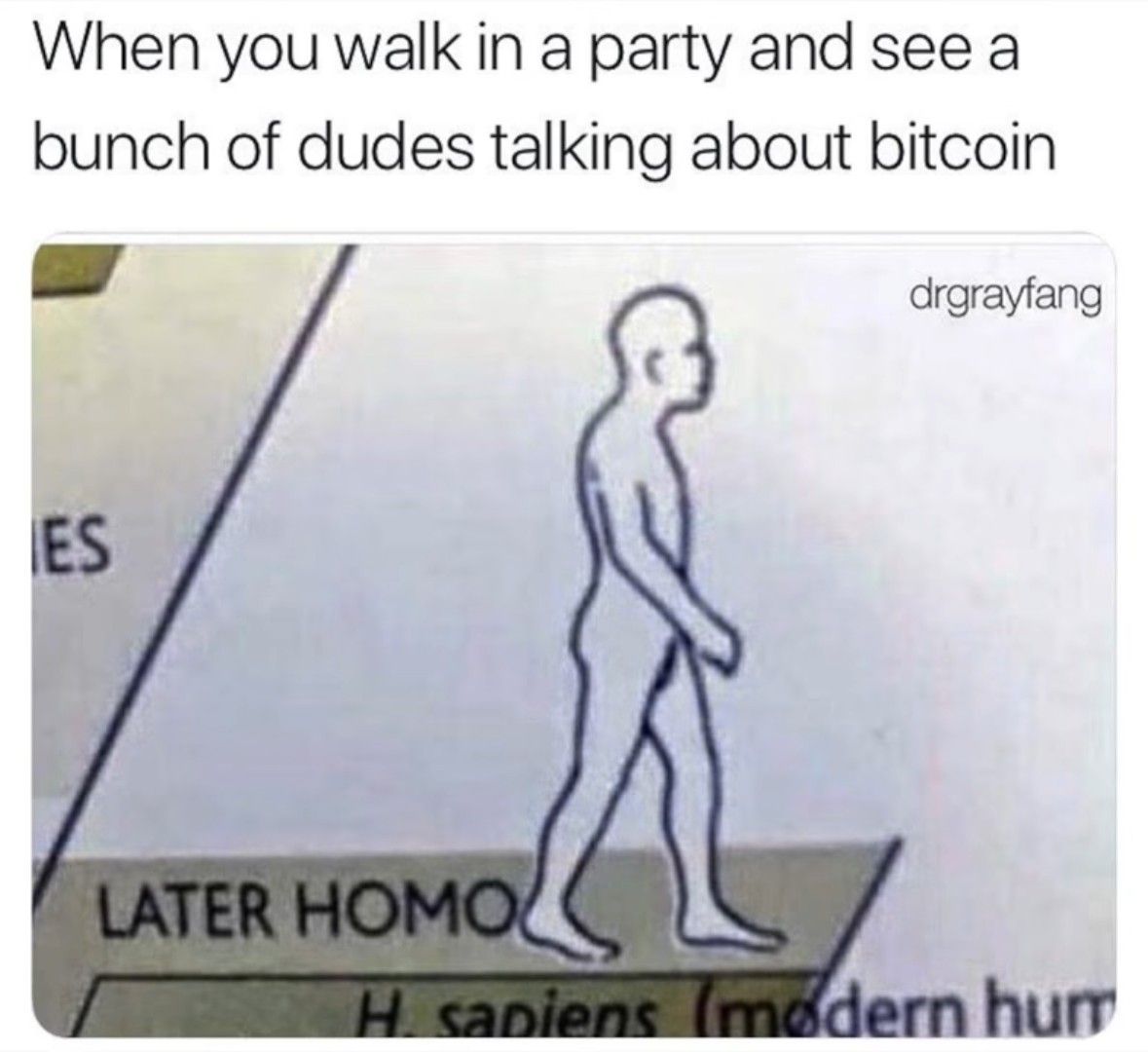 When you walk in a party and see a
bunch of dudes talking about bitcoin
ES
LATER HOMO
drgrayfang
H. sapiens (modern hum