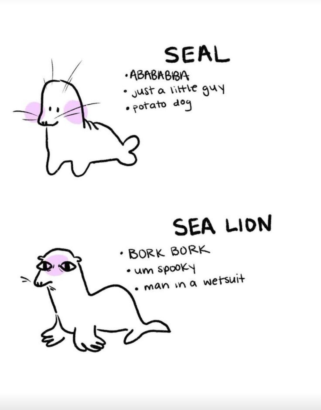 SEAL
•ABABABBA
just a little guy
• potato dog
0
●
SEA LION
BORK BORK
•um spooky
• man in a wetsuit