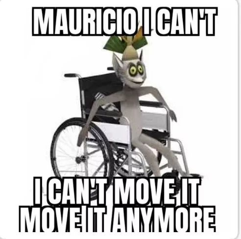 MAURICIO I CAN'T
140
I CAN'T MOVE IT
MOVEIT ANYMORE