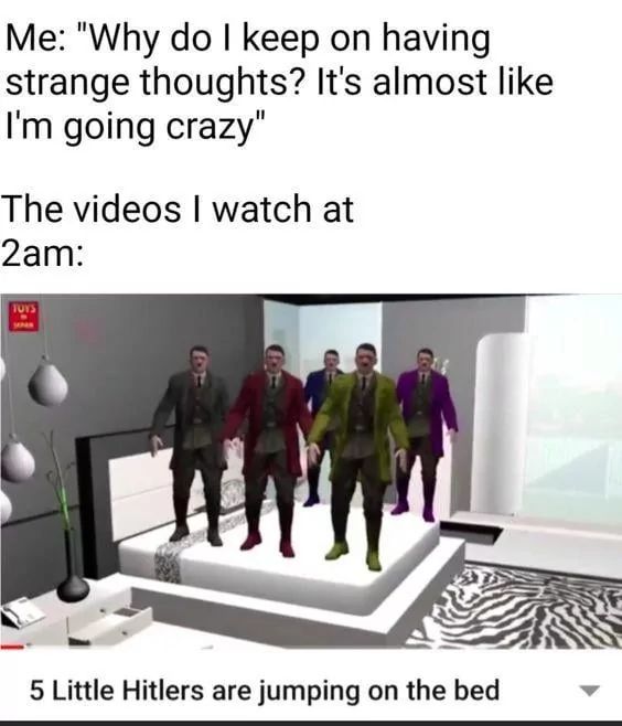 Me: "Why do I keep on having
strange thoughts? It's almost like
I'm going crazy"
The videos I watch at
2am:
TOYS
5 Little Hitlers are jumping on the bed