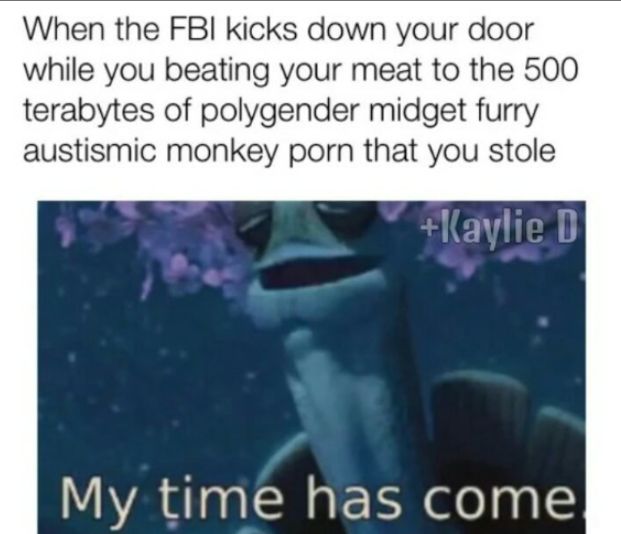 When the FBI kicks down your door
while you beating your meat to the 500
terabytes of polygender midget furry
austismic monkey porn that you stole
+Kaylie D
My time has come