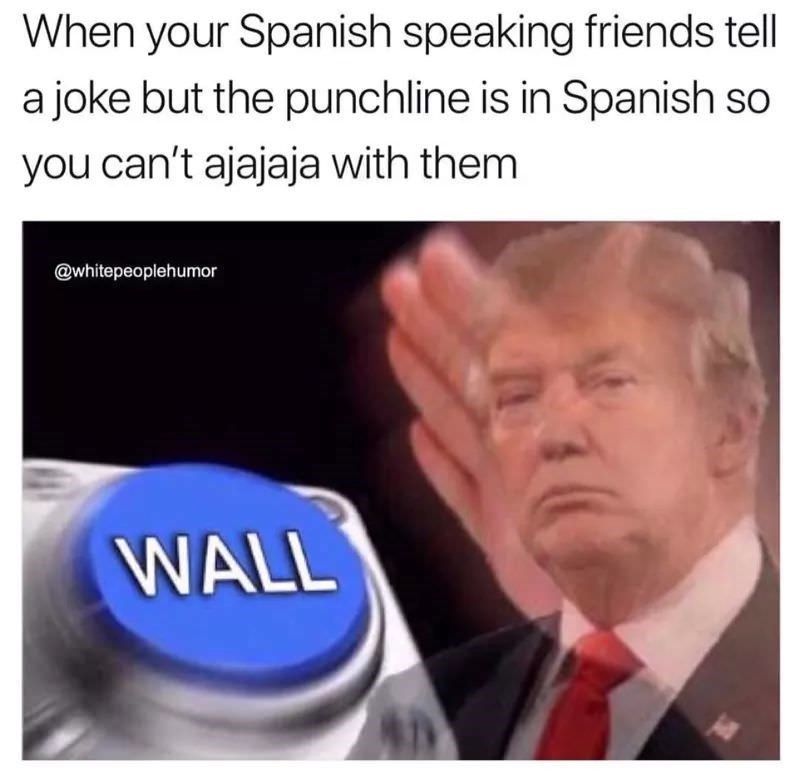 When your Spanish speaking friends tell
a joke but the punchline is in Spanish so
you can't ajajaja with them
@whitepeoplehumor
WALL