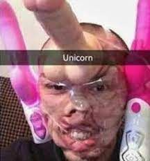 Unicorn