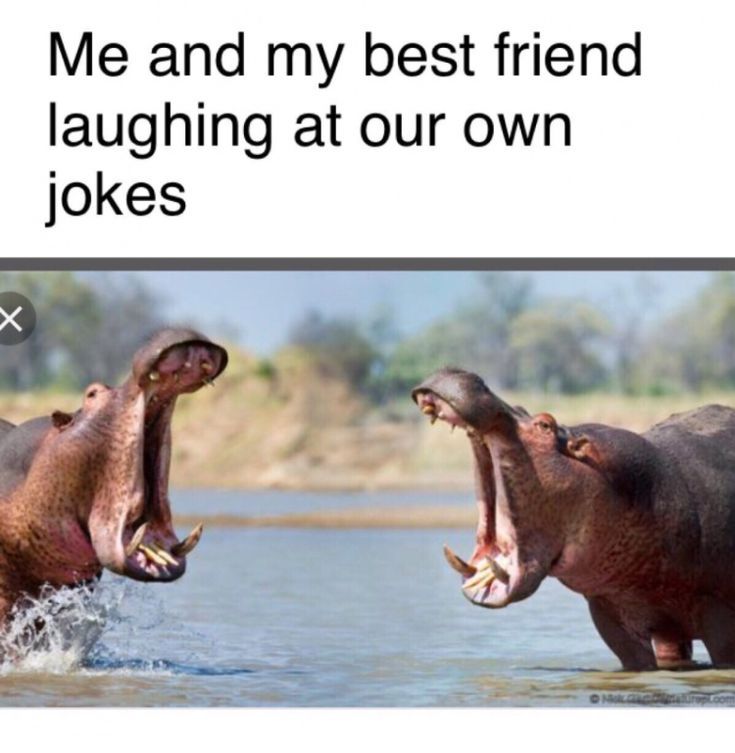 X
Me and my best friend
laughing at our own
jokes