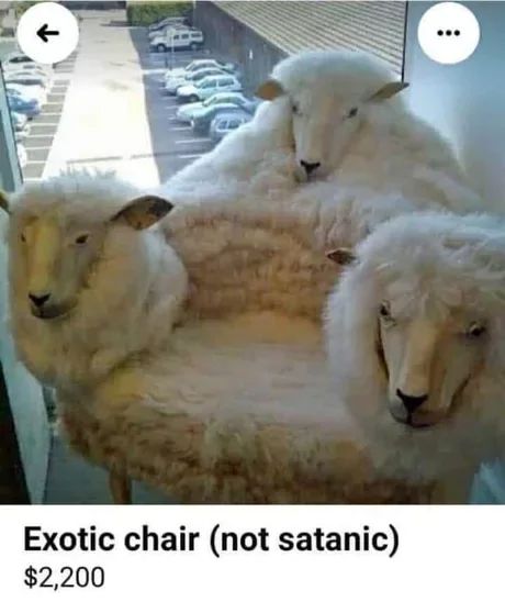 Exotic chair (not satanic)
$2,200
: