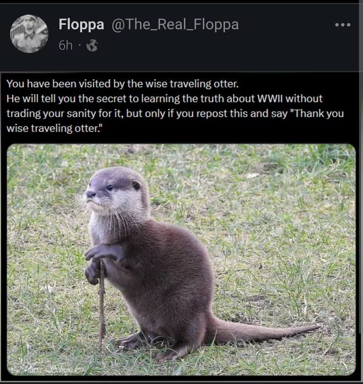 Floppa @The_Real_Floppa
6h 3
You have been visited by the wise traveling otter.
He will tell you the secret to learning the truth about WWII without
trading your sanity for it, but only if you repost this and say "Thank you
wise traveling otter."