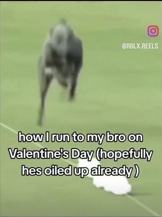 O
@RBLX.REELS
how I run to my bro on
Valentine's Day (hopefully
hes oiled up already)