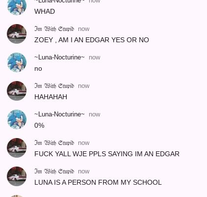 A chat conversation between two users. One user asks if they are an 'Edgar' and the other replies 'no'. The first user laughs and then gets angry that people call them an 'Edgar'. The user then mentions that the second user is a person from their school. The chat participants' usernames are '~Luna-Nocturne~' and 'Im With Stupid'.