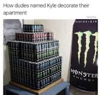 How dudes named Kyle decorate their
apartment
FINE TH
MONSTER
SHERGY