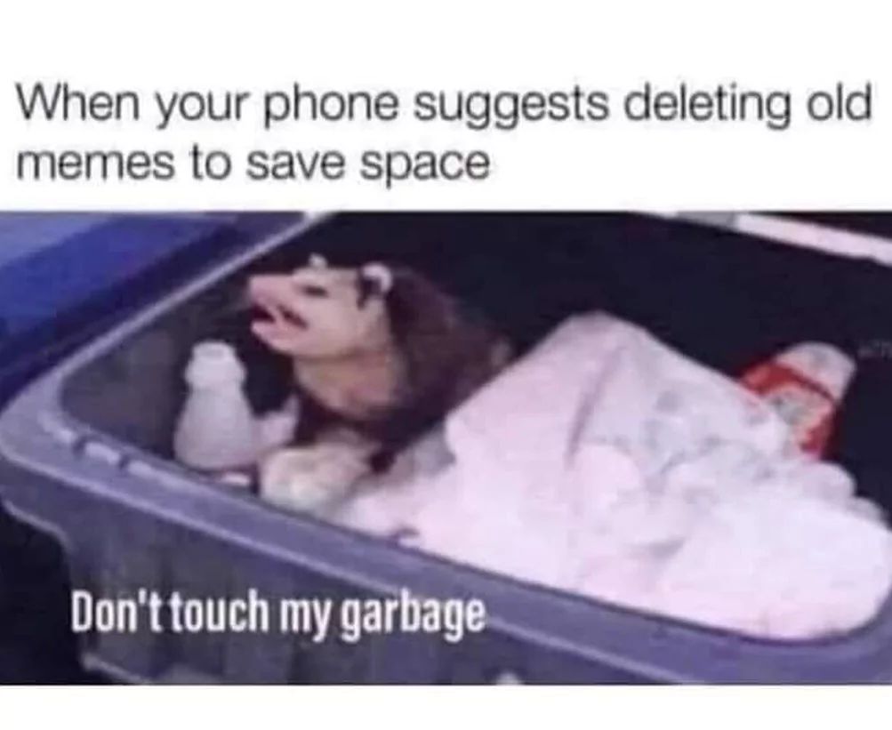 When your phone suggests deleting old
memes to save space
Don't touch my garbage