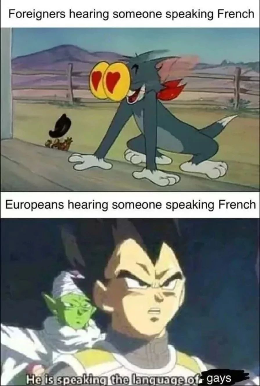 Foreigners hearing someone speaking French
0₂
Europeans hearing someone speaking French
He is speaking the language of gays