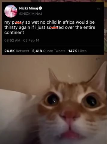 Nicki Minaj
@NICKIMINAJ
my pussy so wet no child in africa would be
thirsty again if i just squirted over the entire
continent
08:52 AM - 03 Feb 14
24.8K Retweet 2,418 Quote Tweets 147K Likes