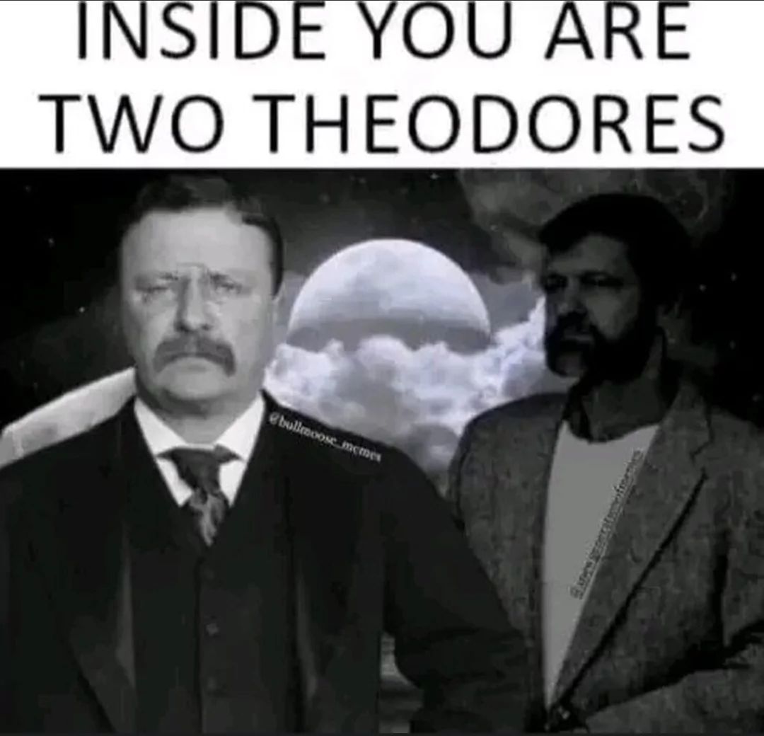 INSIDE YOU ARE
TWO THEODORES
bullmoose memes