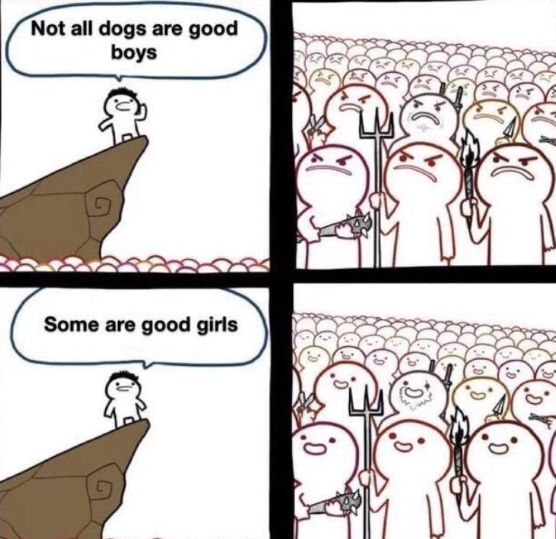 Not all dogs are good
boys
Some are good girls
4