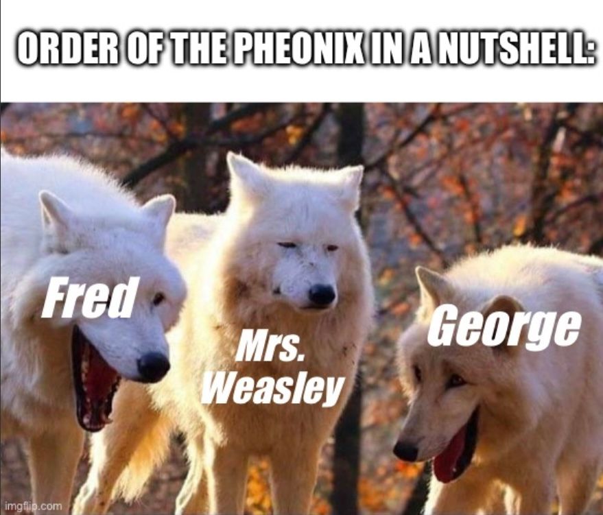 ORDER OF THE PHEONIX IN A NUTSHELL:
Fred
Mrs.
Weasley

George