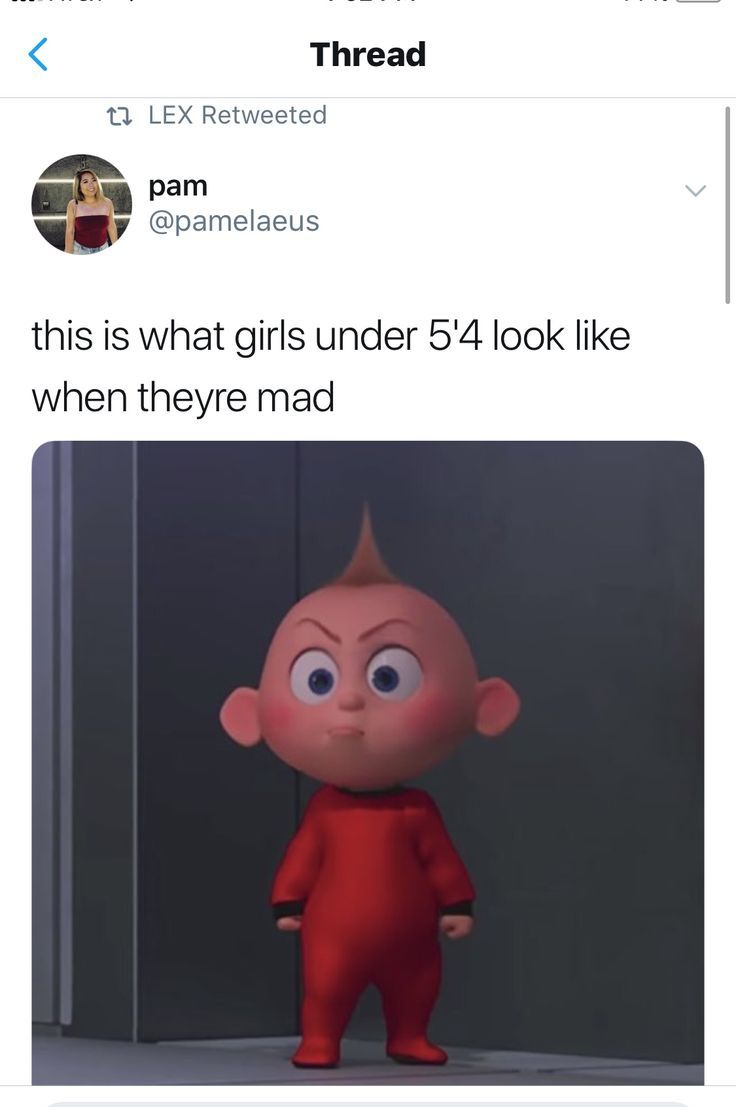 <
1 LEX Retweeted
pam
@pamelaeus
Thread
this is what girls under 5'4 look like
when theyre mad