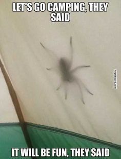 LET'S GO CAMPING, THEY
SAID
IT WILL BE FUN, THEY SAID