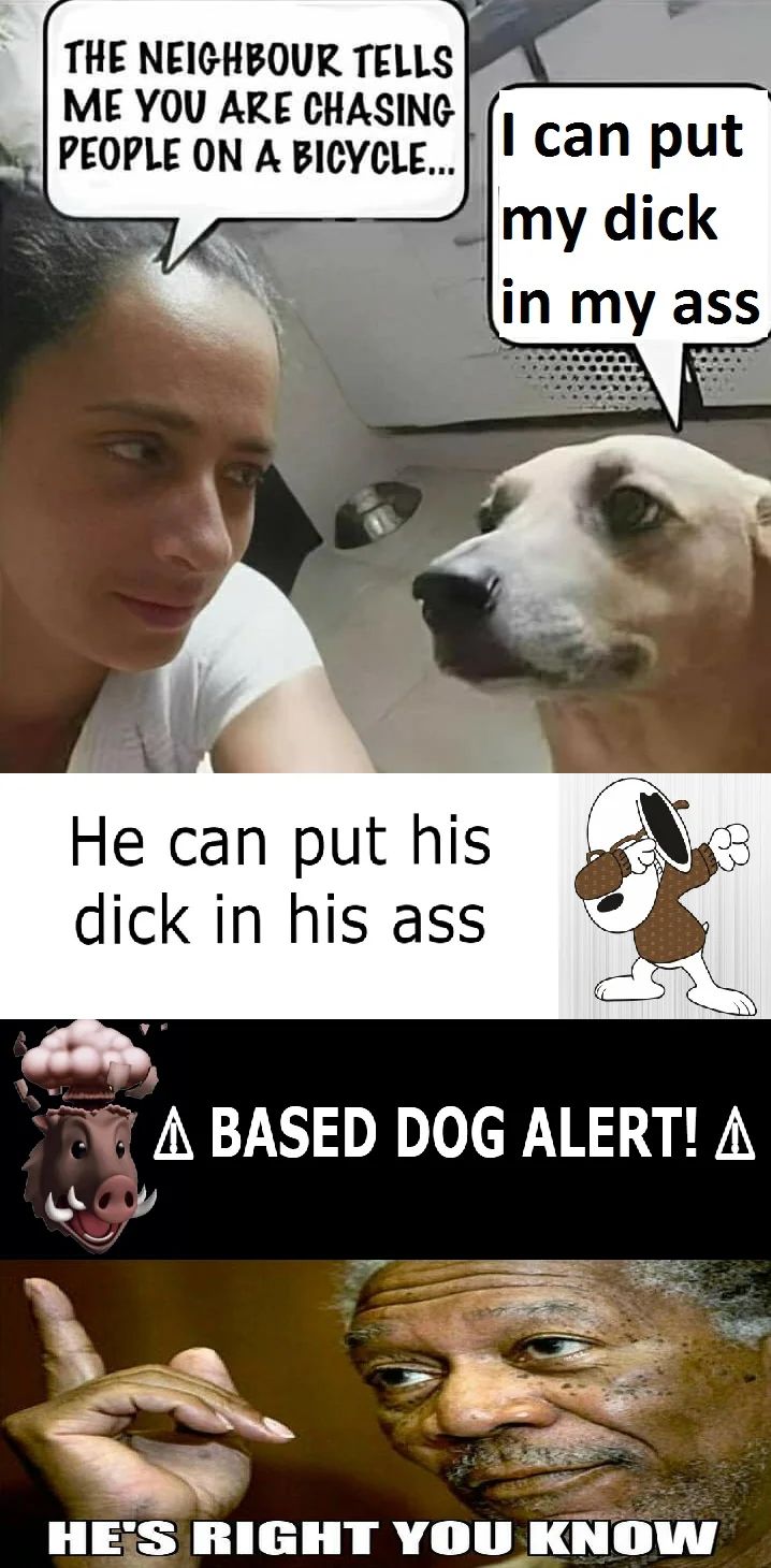 THE NEIGHBOUR TELLS
ME YOU ARE CHASING
PEOPLE ON A BICYCLE...
I can put
my dick
in my ass
He can put his
dick in his ass
B
A BASED DOG ALERT! A
HE'S RIGHT YOU KNOW