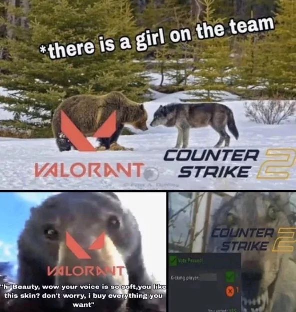 *there is a girl on the team
COUNTER
VALORANTO STRIKE
VALORANT
"hi Beauty, wow your voice is so soft, you like
this skin? don't worry, i buy everything you
want"
Vote Paused
Kicking player
COUNTER
STRIKE
You voted: YES