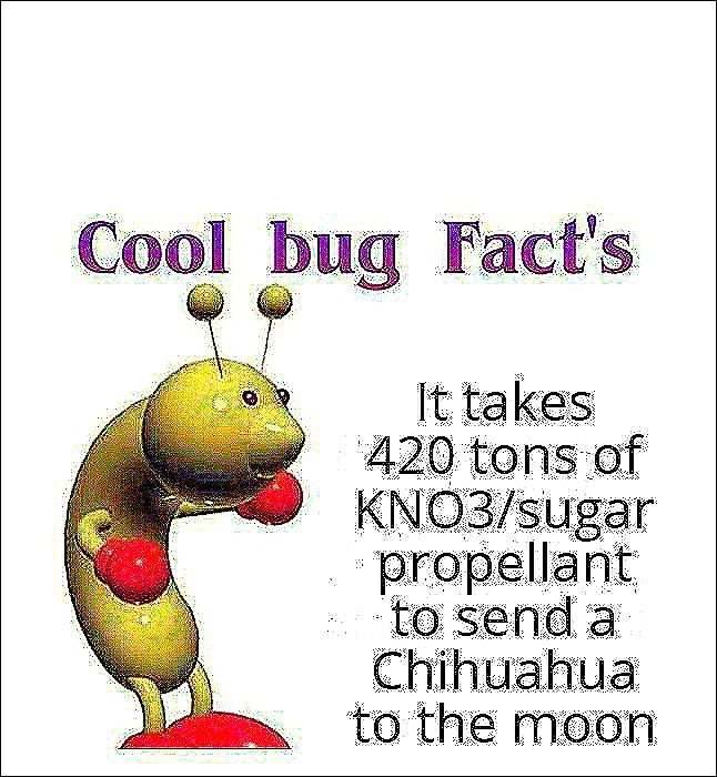 Cool bug Fact's
It takes
420 tons of
KNO3/sugar
propellant
to send a
Chihuahua
to the moon