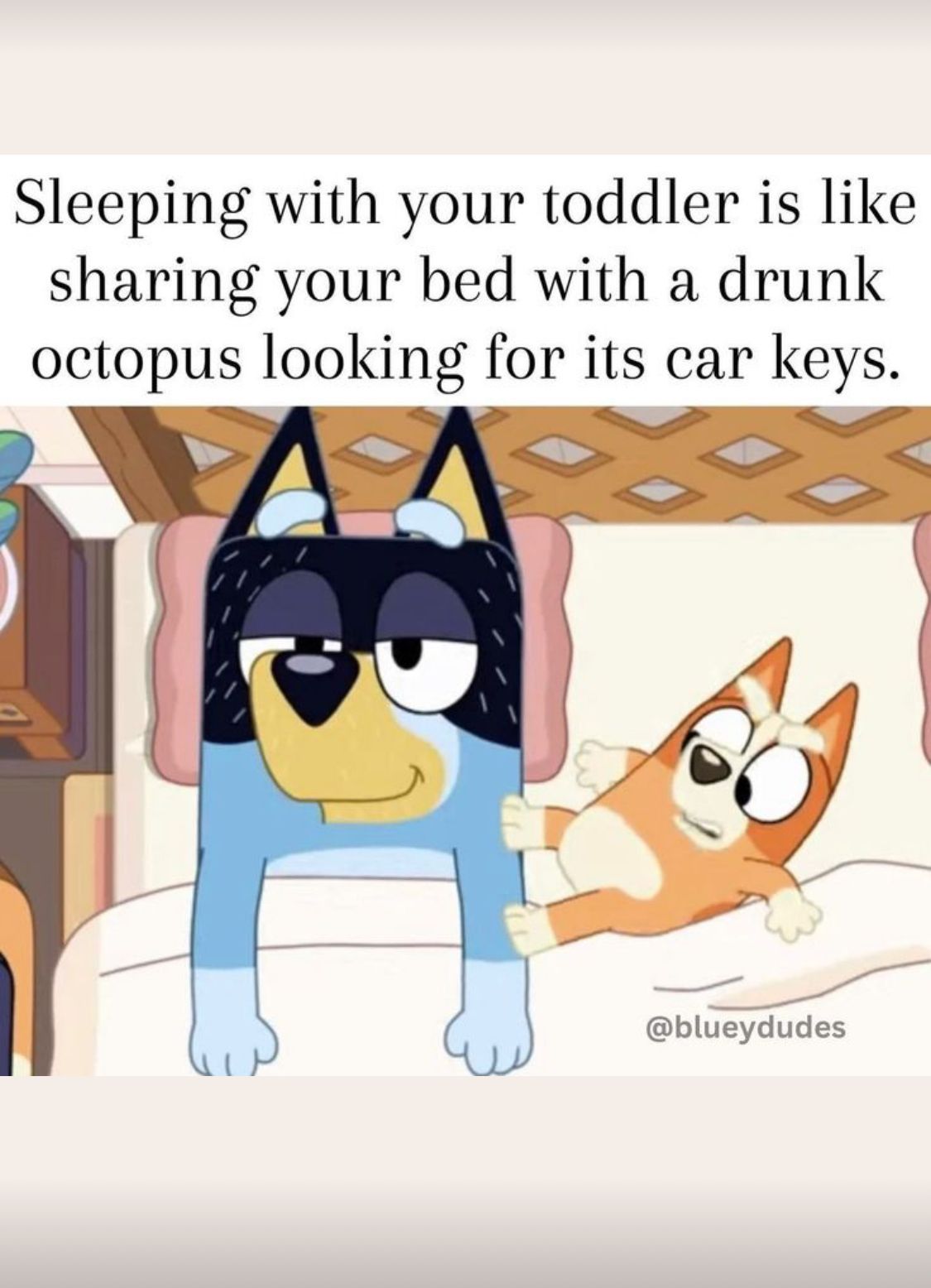 Sleeping with your toddler is like
sharing your bed with a drunk
octopus looking for its car keys.
3
@blueydudes