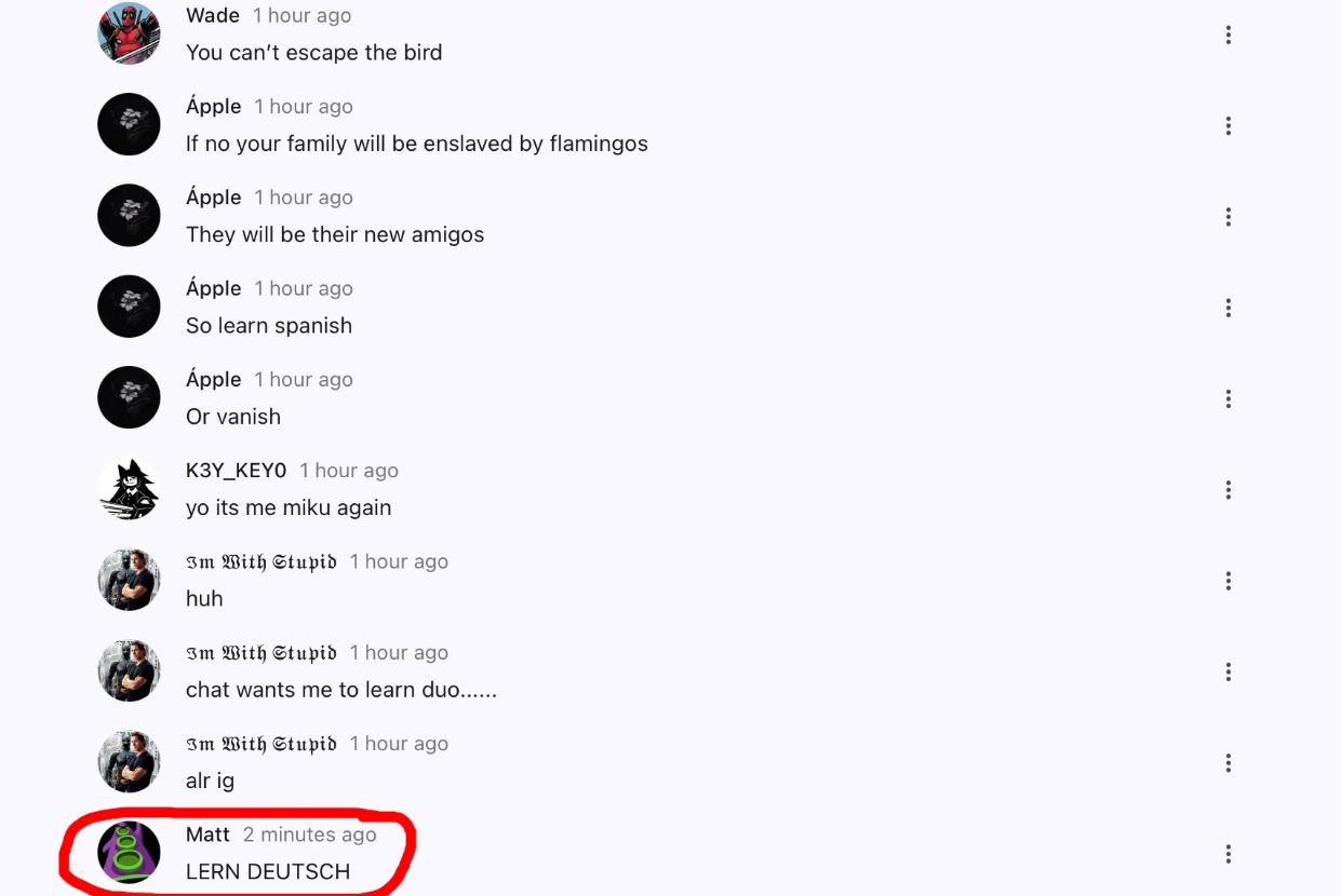 Wade 1 hour ago
You can't escape the bird
Apple 1 hour ago
If no your family will be enslaved by flamingos
Ápple 1 hour ago
They will be their new amigos
Ápple 1 hour ago
So learn spanish
Apple 1 hour ago
Or vanish
K3Y KEYO 1 hour ago
yo its me miku again
Im With Stupid 1 hour ago
huh
3m With Stupid 1 hour ago
chat wants me to learn duo.......
Im With Stupid 1 hour ago
alr ig
Matt 2 minutes ago
LERN DEUTSCH