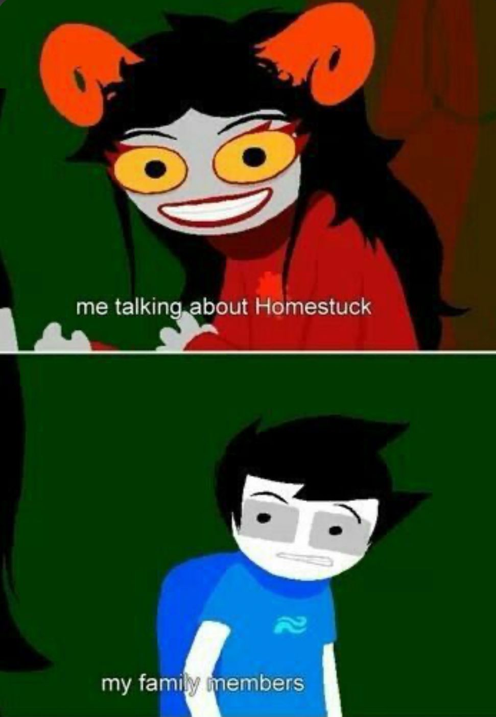 me talking about Homestuck
my family members