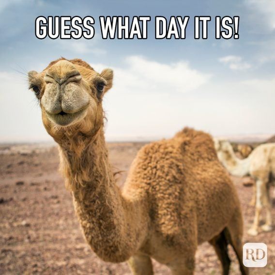 GUESS WHAT DAY IT IS!
RD