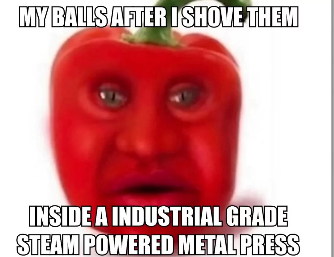 MY BALLS AFTER I SHOVE THEM
INSIDE A INDUSTRIAL GRADE
STEAM POWERED METAL PRESS