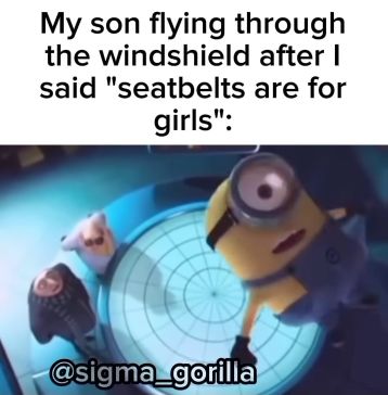 My son flying through
the windshield after I
said "seatbelts are for
girls":
@sigma_gorilla