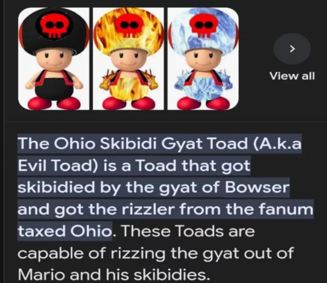 View all
The Ohio Skibidi Gyat Toad (A.k.a
Evil Toad) is a Toad that got
skibidied by the gyat of Bowser
and got the rizzler from the fanum
taxed Ohio. These Toads are
capable of rizzing the gyat out of
Mario and his skibidies.