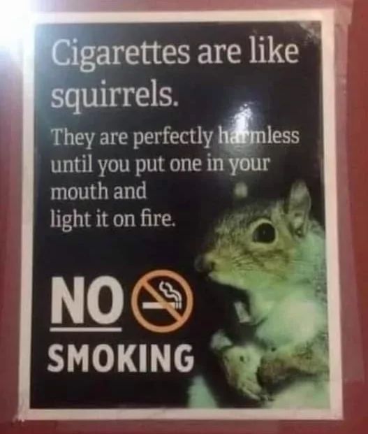 Cigarettes are like
squirrels.
They are perfectly harmless
until you put one in your
mouth and
light it on fire.
NO
SMOKING