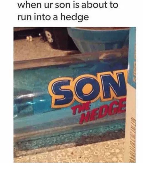 when ur son is about to
run into a hedge
SON
MEDGE