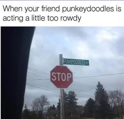 When your friend punkeydoodles is
acting a little too rowdy
PUNKEYDOODLES
STOP