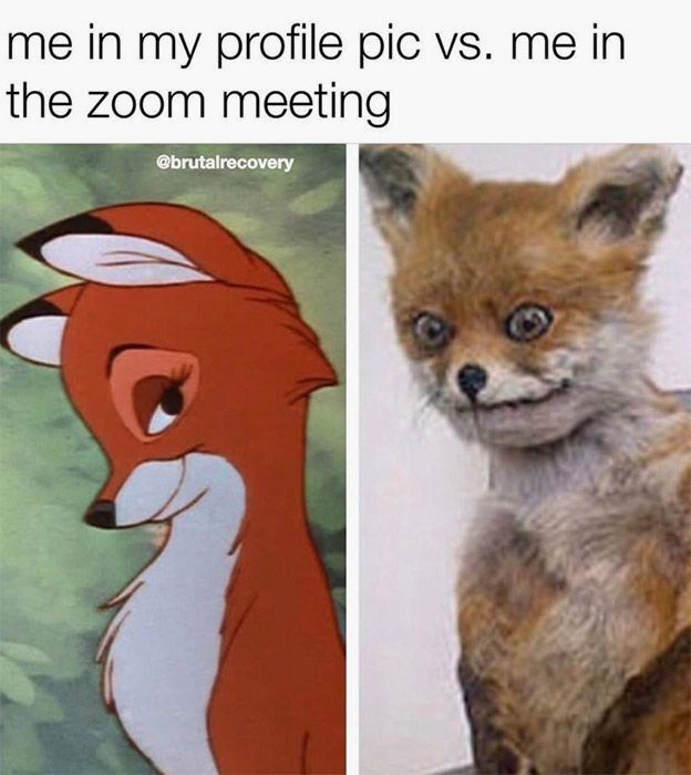 me in my profile pic vs. me in
the zoom meeting
@brutalrecovery