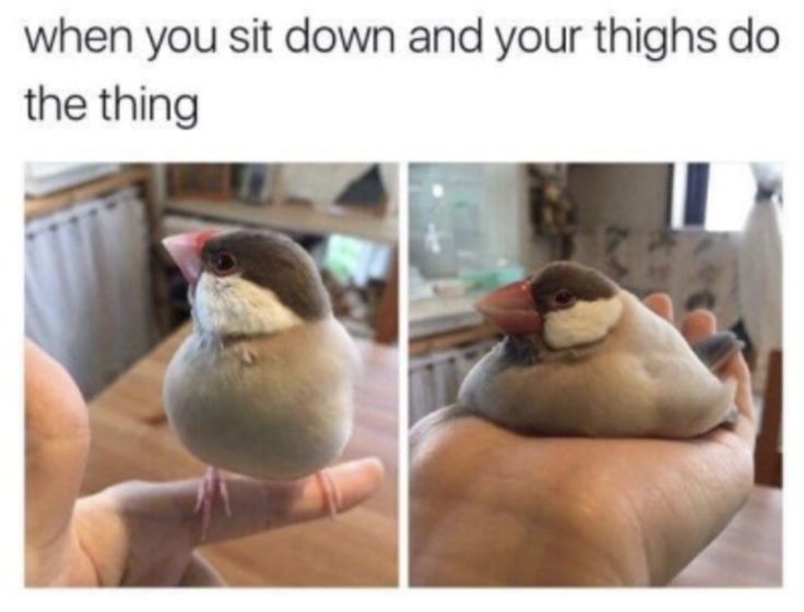 when you sit down and your thighs do
the thing