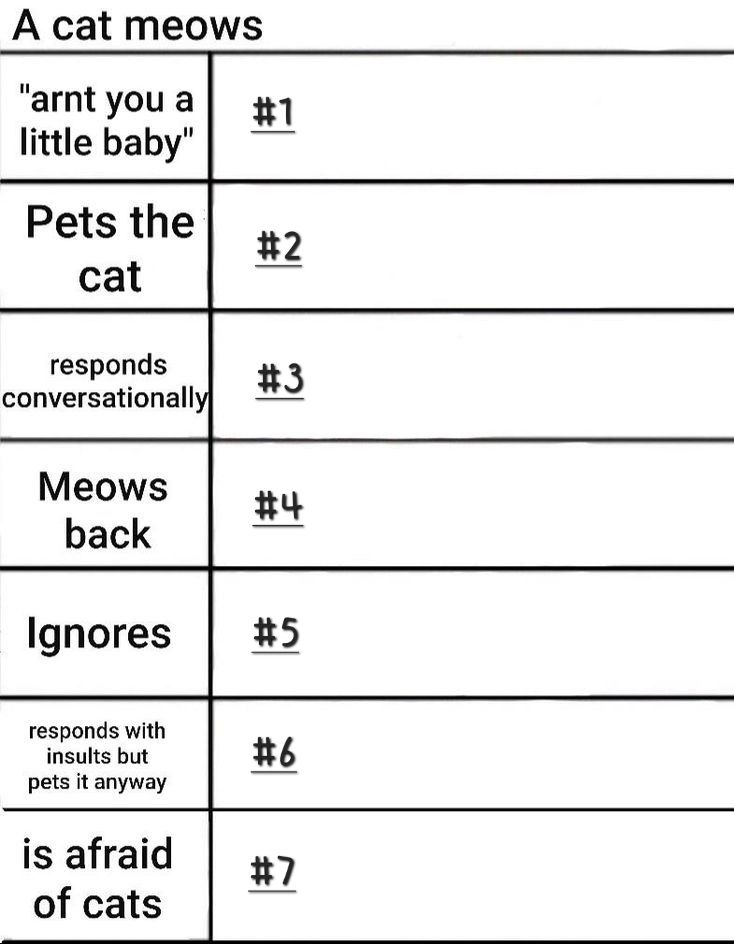 A cat meows
"arnt you a
#1
little baby"
Pets the
#2
cat
responds
#3
conversationally
Meows
#4
back
Ignores
#5
responds with
insults but
pets it anyway
#6
is afraid
#7
of cats