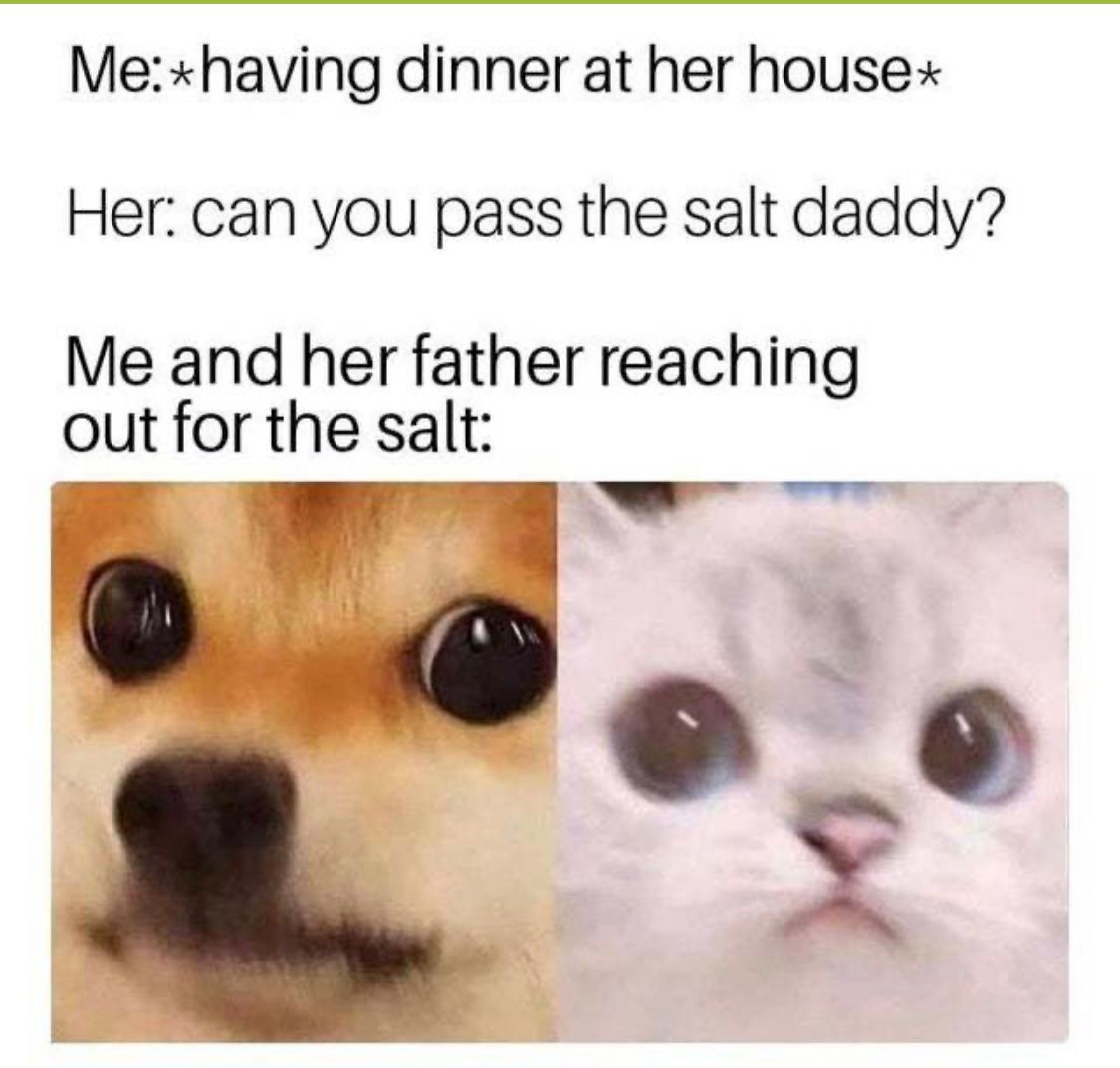 The image shows a text conversation followed by two close-up photos of animals. The text reads: "Me: *having dinner at her house*. Her: can you pass the salt daddy? Me and her father reaching out for the salt." The animals are a dog looking slightly surprised on the left and a cat looking innocently on the right.