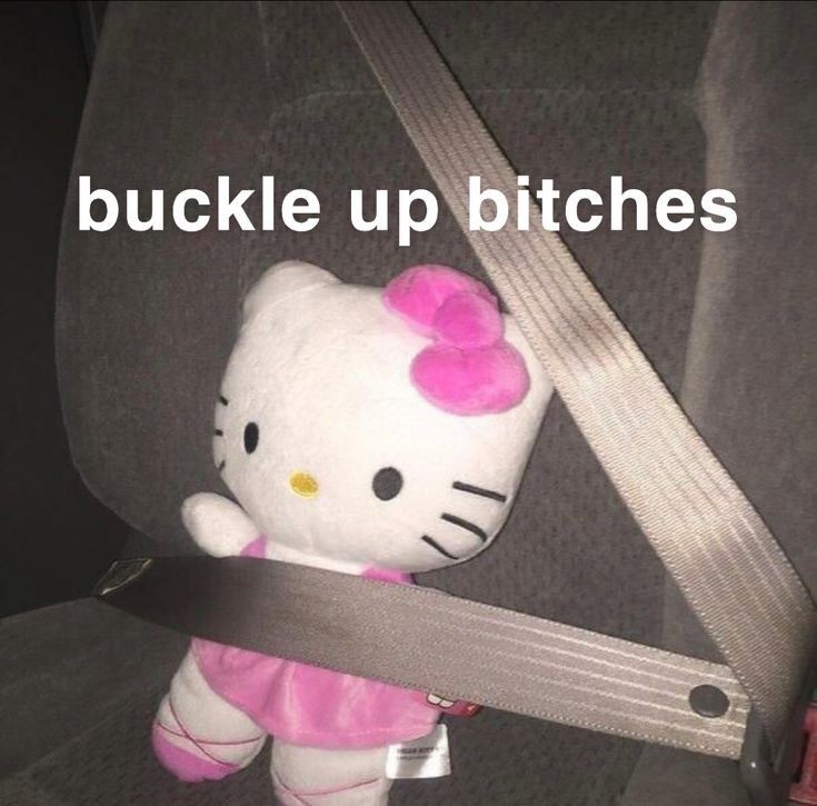 buckle up bitches