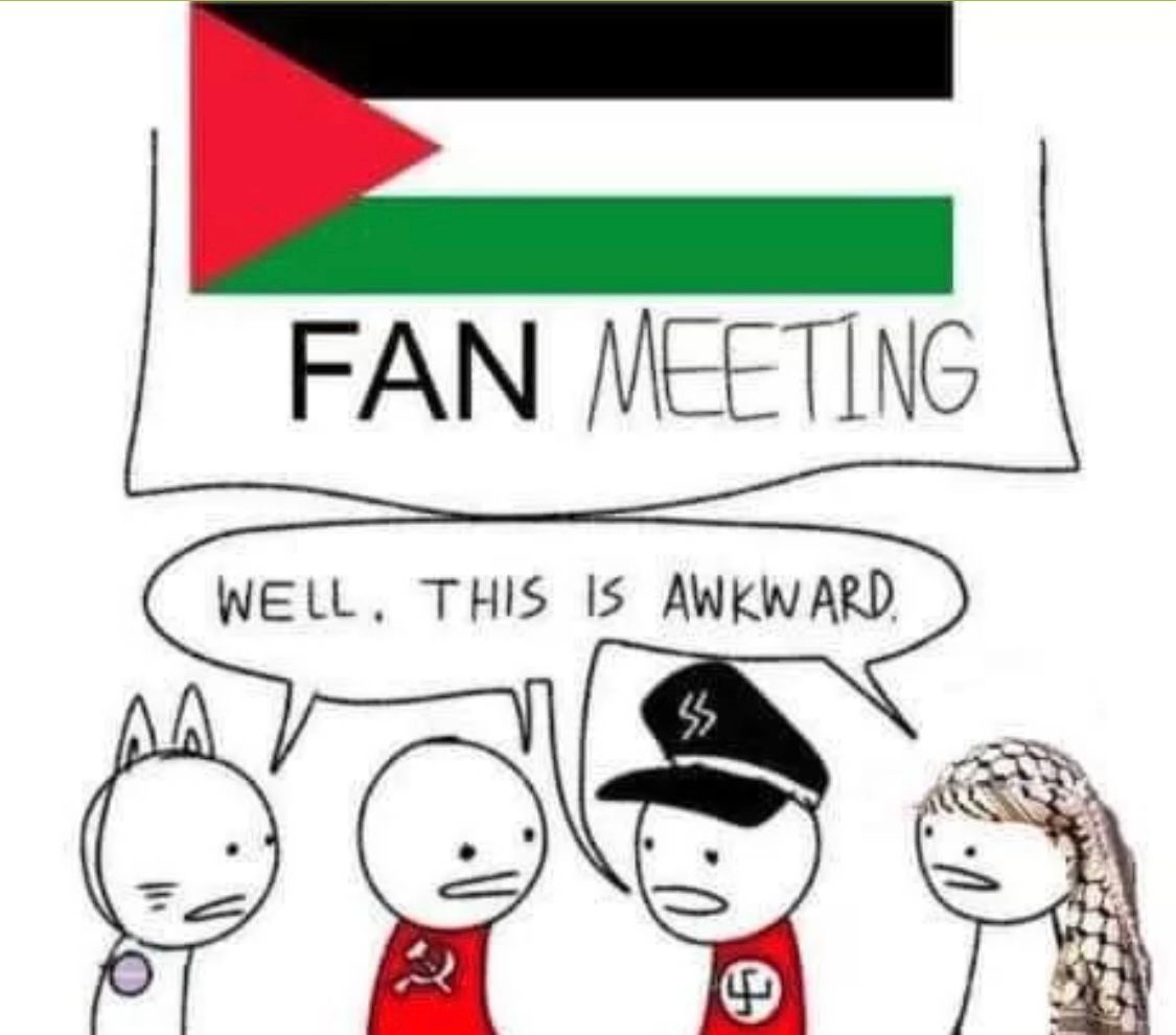 The image shows a cartoon with a Palestinian flag at the top and the words 'FAN MEETING'. Below this, four simple cartoon figures are in a speech bubble saying: 'WELL, THIS IS AWKWARD'. The characters appear to represent different political ideologies. The characters from left to right: cat ear character, a communist, a Nazi, and a person with a Palestinian keffiyeh.