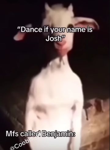 "Dance if your name is
Josh
Mfs called Benjamin:
@Coobi